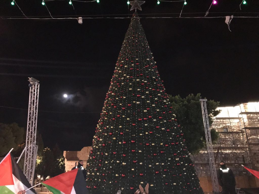 sapin