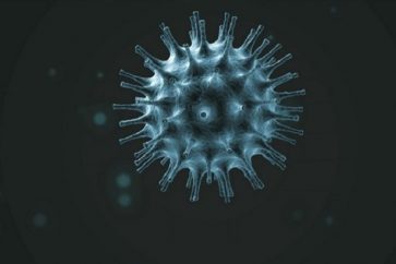 coronavirus2