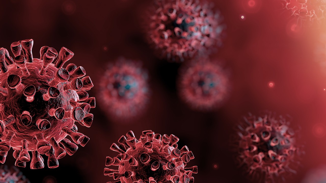 La question de l'immunité fait l'objet de nombreuses recherches depuis le début de la pandémie.