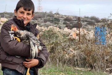 Après la publication de cette photographie a tenu à signaler que la poule qu'il porte n'est pas celle qui lui a été volée par les soldats israéliens