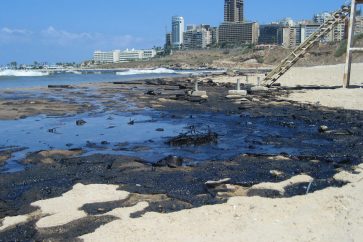 Les côtes libanaises souillées par une marée noire