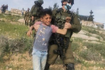 Cinq enfants palestiniens qui cueillaient des plantes arrêtés par les forces d'occupation israéliennes