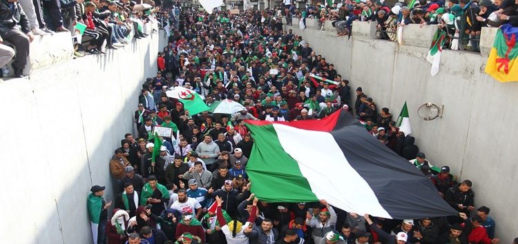 algerie_palestine