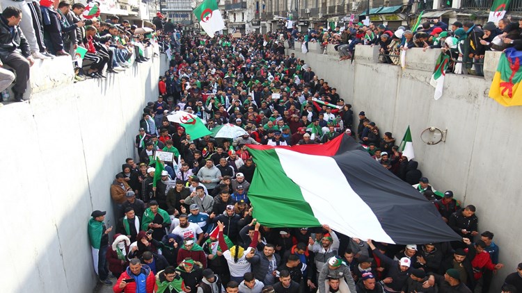 algerie_palestine