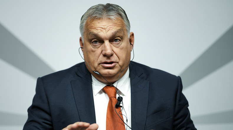 Le Premier ministre hongrois Viktor Orban (illustration)