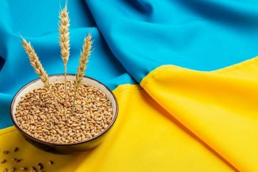 cereales_ukrainiennes