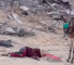 Un enfant palestinien tué de sang froid par l'armée d'occupation israélienne à Rafah, le 20 janvier 2025.