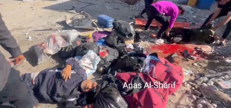 <a href="https://french.almanar.com.lb/3260985">Plus de 250 martyrs en 36 heures à Gaza. 100 raids en 24 heures. « Gaza est devenu l’enfer sur terre »</a>