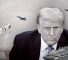 trump_yemen