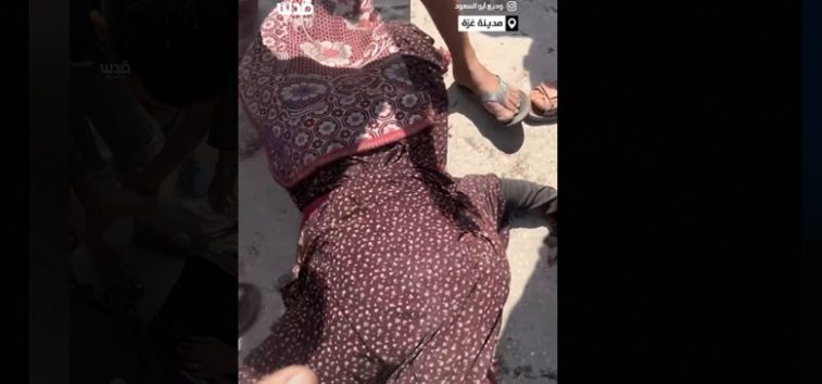 <a href="https://french.almanar.com.lb/3266353">Gaza : MSF qualifie l&rsquo;aide israélienne &laquo;&nbsp;d&rsquo;écran de fumée&nbsp;&raquo;. 60 martyrs ce mercredi. Carnage dans une boulangerie</a>