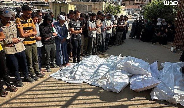 <a href="https://french.almanar.com.lb/3339492">Gaza: l&rsquo;UE a des cartes en main pour sanctionner ‘Israël’ mais ne passe pas aux actes</a>
