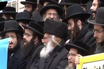 rabbin