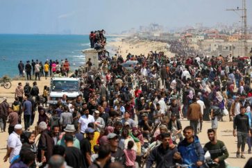 gazaouis_transfert