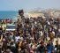 gazaouis_transfert