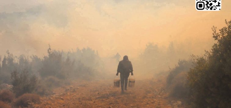 <a href="https://french.almanar.com.lb/3373130">Syrie : Manifestation dans le fief des druzes réclamant l&rsquo;autodétermination. Les incendies dans les régions alaouites imputés aux autorités</a>