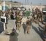 forces_br_afghanistan