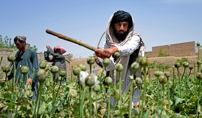 "La CIA s’est alliée de manière répétitive avec des éléments du trafic de la drogue en Europe, en Afghanistan et au Moyen-Orient, en Amérique Latine et ailleurs, le plus récemment au Kosovo, en Colombie et en Afghanistan"