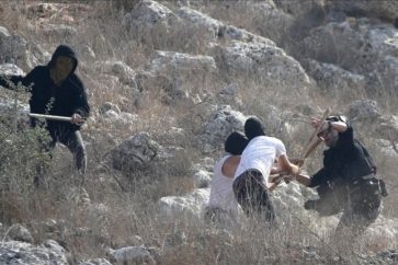 cf111bae-b9e0-4c2d-9adb-7bc0477a9de8